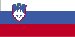 slovenian CREDIT-CARD - Industri Spesialisering Beskrivelse (side 1)
